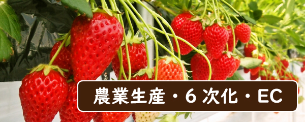 jwpの農業生産・6次化・EC