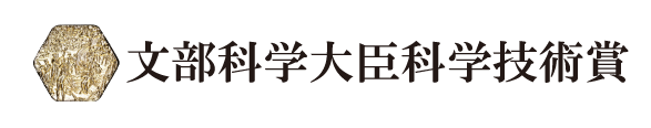 文部科学大臣科学技術賞